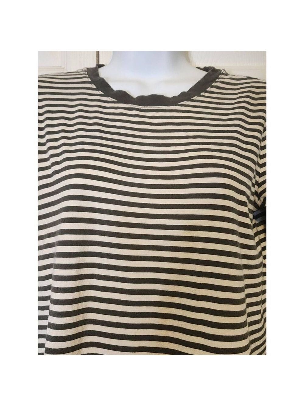 Loft Olive Striped Shirt